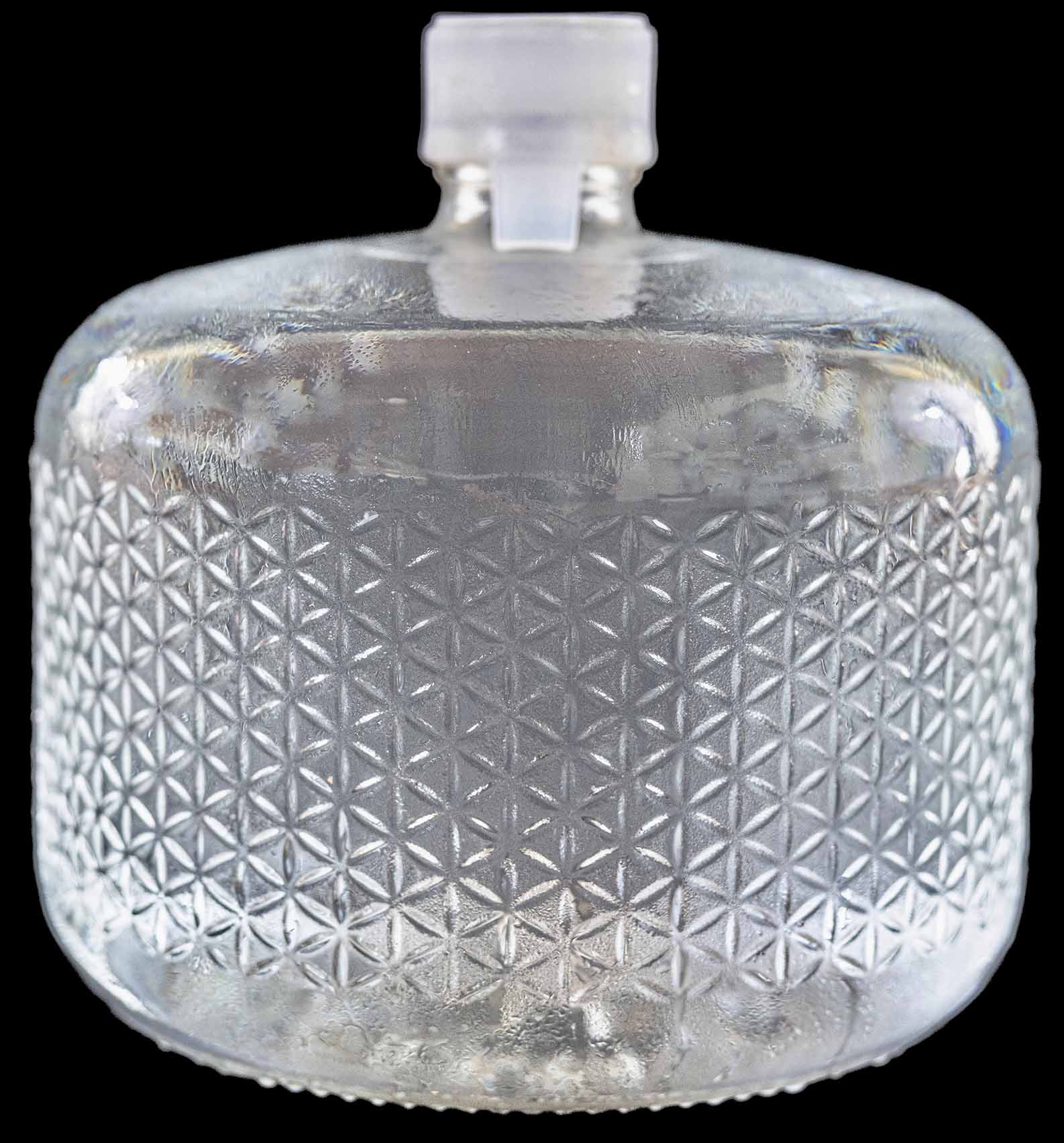  Nestle Pure Life - Agua purificada de manantial embotellada de  8 onzas, paquete de 24 botellas de agua embotellada, mini botellas de agua  de 8 onzas, paquete de 24 : Comida Gourmet y Alimentos