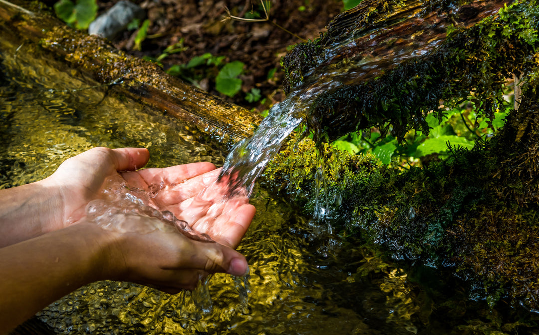 Spring Water Delivery Is Perfect for the Modern Generation
