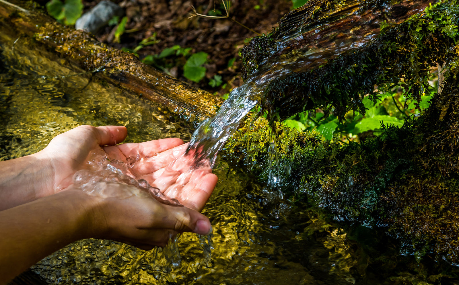 Spring Water Delivery Is Perfect for the Modern Generation